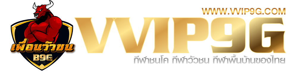 vvip9g.com